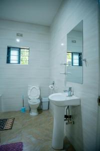 卢萨卡Kamps Apartment - Foxdale Forest的一间带卫生间、水槽和镜子的浴室