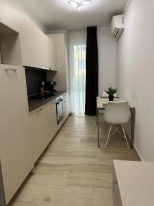 Covaciu aparthotel的厨房或小厨房