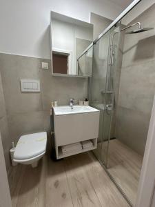 克卢日-纳波卡Covaciu aparthotel的一间带水槽、淋浴和卫生间的浴室