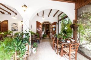 阿尔布斯Turismo Rurale La Miniera Fiorita的一间设有桌椅的餐厅,种植了植物