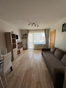 利耶帕亚Baltic Apartament的带沙发和木地板的客厅