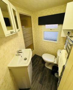 斯凯格内斯Golden Sands的一间带水槽和卫生间的小浴室
