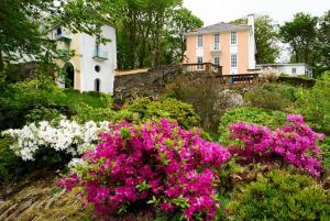 波特马多克梅里昂港村与德多拉斯城堡酒店的山丘上一座房子,前面有鲜花