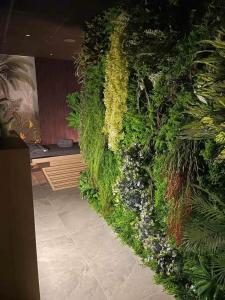布尔加斯MM Boutique Hotel的绿色的墙,有植物和花