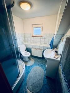 特尔乔夫Chatka Hanka的浴室配有卫生间、盥洗盆和淋浴。