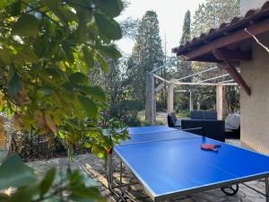 塞特港Villa familiale carlex的后院的一张蓝色乒乓球桌