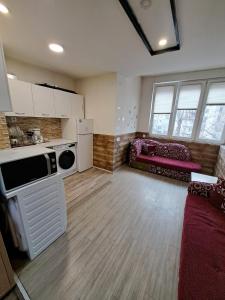 斯科普里Alpi Hostel的厨房以及带沙发的起居室。