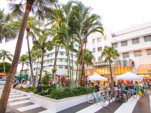 迈阿密FLiXBEDS - The Latinx MIA Airport- Downtown - Casino - Wynwood的一群自行车停在一条棕榈树的街道上