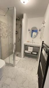 鲁昂鲁昂中心丹迪酒店的带淋浴、盥洗盆和卫生间的浴室
