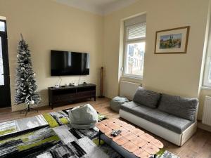 斯雷姆斯基卡尔洛夫奇DANA GUEST HOUSE的客厅配有圣诞树和沙发