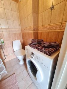 GrytaApartment in private villa的一间带卫生间的浴室内的洗衣机