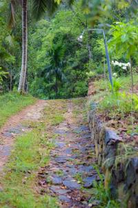 代尼耶耶Sinharaja Forest Lodge的石墙旁的土路