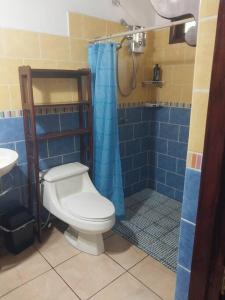 奇南德加Charming 3 bedroom house的一间带卫生间和蓝色淋浴的浴室