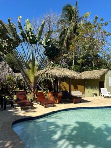 圣卡塔利娜岛Hotel Las Hamacas的一个带椅子和棕榈树的游泳池的度假酒店