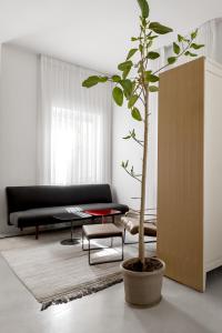 特拉维夫Rothschild 69的带沙发和盆栽植物的客厅