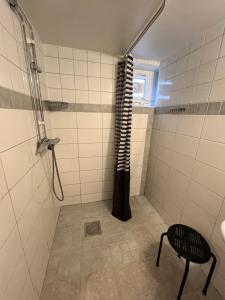 哈尔姆斯塔德Central university - centralt högskolan的带淋浴的浴室和椅子