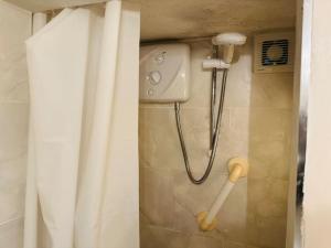 凯尔西温Hillview House, Cahersiveen的带淋浴和浴帘的浴室
