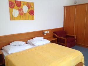 赫维兹Hotel Apart Hotel的配有一张床和一把椅子的酒店客房