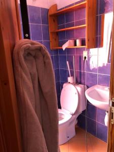布鲁塞尔Cozy & Comfy House in Forest!的一间带卫生间和水槽的浴室