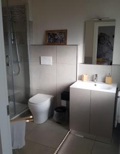 塞里亚泰Nyx Lilura Foresteria Lombarda的浴室配有卫生间、盥洗盆和淋浴。
