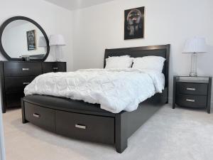 渥太华Voltage的一间卧室配有一张大床和镜子