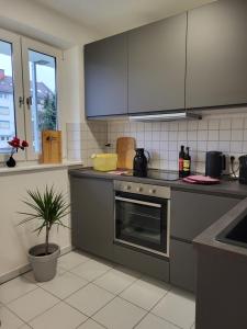 新乌尔姆ALA Living Stadt-Schwärmer Apartment 10min zum Ulmer Münster & Ulmer Altstadt, WLAN & Arbeitsplatz的厨房配有不锈钢用具和盆栽植物