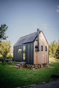 帕蒂赞斯克AIVA Glamping的草场上带黑色屋顶的木屋