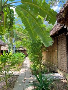 芹苴Hometravel Mekong Can Tho的一座大绿色香蕉树,毗邻一座建筑