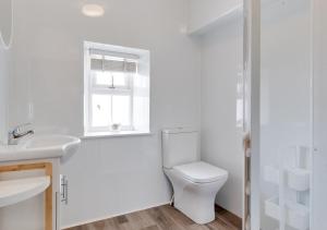 阿伯索赫Bronwydd的一间带卫生间、水槽和窗户的浴室