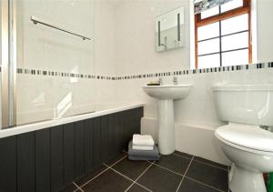 阿伯索赫Y Betws的浴室配有卫生间、盥洗盆和淋浴。