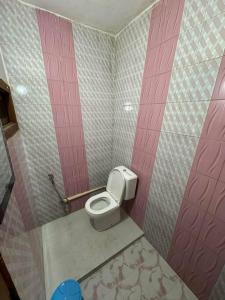 奈尼塔尔Nature's Vibe Homestay - Nainital - Kainchi Dham的粉红色客房内带卫生间的浴室