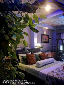 尼甘布塞林迪村宾馆的一间卧室配有床和植物