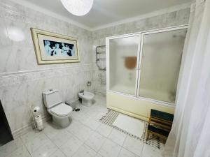 蓬塔德尔加达DMCharme的一间带卫生间和淋浴的浴室