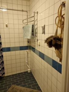 哥德堡Doktor Forselius gata 16的浴室设有蓝色和白色瓷砖淋浴。