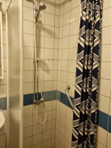 哥德堡Doktor Forselius gata 16的带淋浴和浴帘的浴室