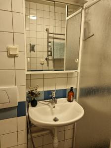 哥德堡Doktor Forselius gata 16的浴室设有白色水槽和镜子