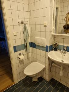 哥德堡Doktor Forselius gata 16的一间带卫生间和水槽的浴室