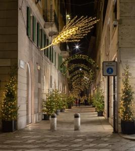 米兰Luxury Loft的楼内有圣诞树和圣诞灯的小巷
