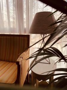 波兹南索雷城精品酒店的椅子和窗户旁的灯