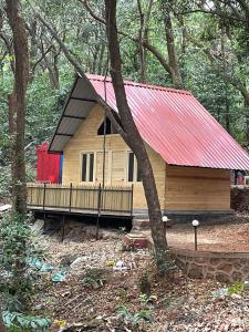 马泰兰Nature Glamping的树林中的一个红色屋顶的小小屋