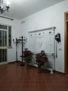 奇尼斯B&B vacanze Mille Colori的一间有两株盆栽植物和白色橱柜的房间