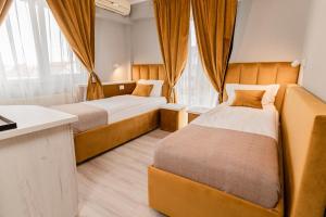 蒂米什瓦拉Pensiunea Elisei的酒店客房配有两张床和一张书桌
