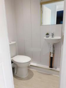 格拉斯哥New & delightful 3 bed house in East Kilbride的一间带卫生间和水槽的浴室