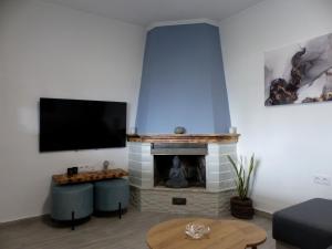 KanálionMichaels Flower House的客厅设有壁炉和平面电视。
