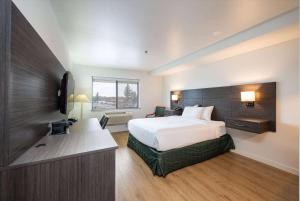 贝灵厄姆Baymont INN & Suites by Wyndham的配有一张床和一张书桌的酒店客房