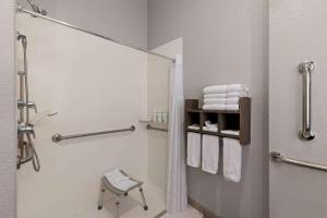 拉皮德城拉皮德城拉金塔旅馆及套房的浴室配有淋浴和带毛巾的卫生间。