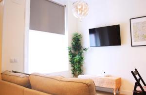马德里Apartamento Marques de Zafra - Ventas的带沙发和平面电视的客厅