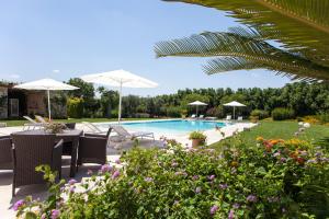 加拉蒂纳Villa Maxima Privacy and Pool - Happy Rentals的花园内带椅子和遮阳伞的游泳池
