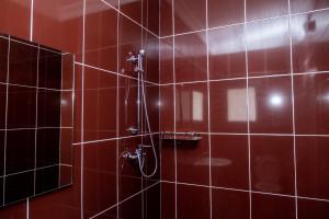 罗安达Casa Chico Rosa的带淋浴的浴室和红色瓷砖墙壁
