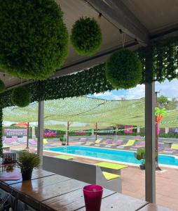 诺瓦利娅Hostel Zrće All Inclusive- ALL YOU CAN DRINK AND EAT!的享有植物游泳池的景色